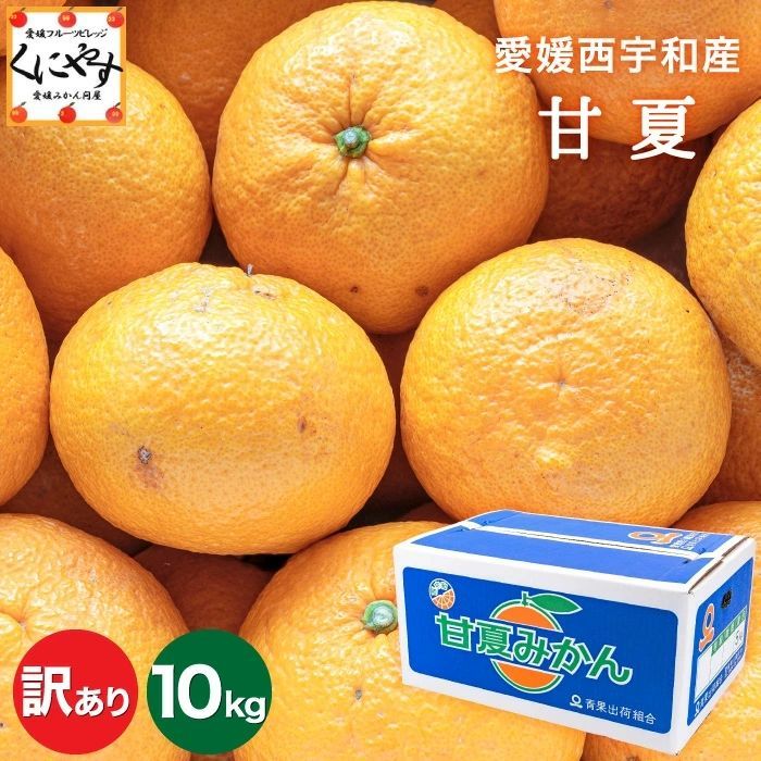 ★ほのかな苦味とスッキリした甘み★【送料無料】【産地直送】愛媛西宇和産 甘夏 訳あり 20kg (5kg×4箱) 「訳あり甘夏5×4」マーマレード や ピール 作りにも！ 甘夏 みかん 夏みかん