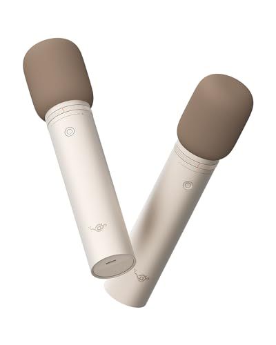 Aladdin Mic2（アラジン マイク2） アラジン エックス ポップインアラジン カラオケ 機器 家庭用 マイク セット カラオケマイク USB bluetooth 子供 子供用 家 国内発送 dbae18fb