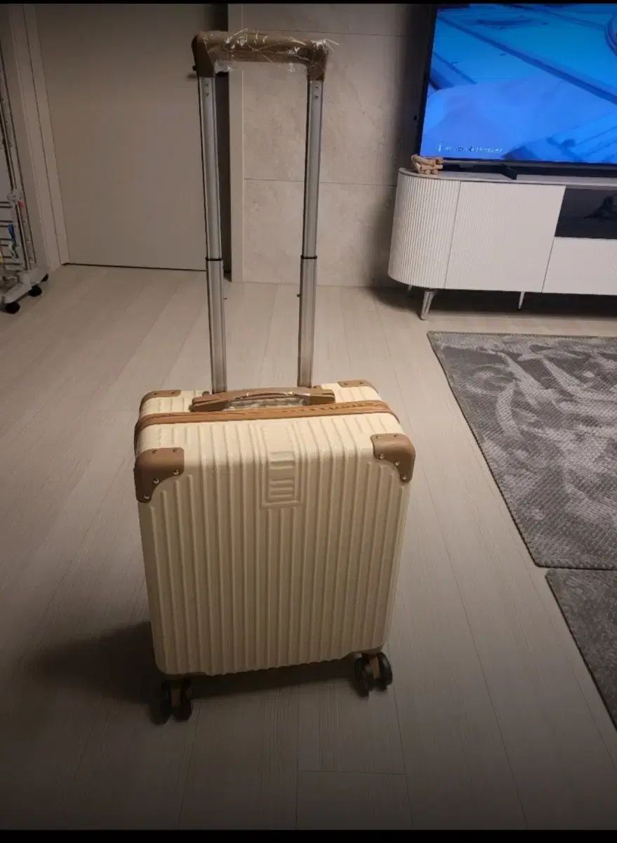 18インチ 小さなキャリアー