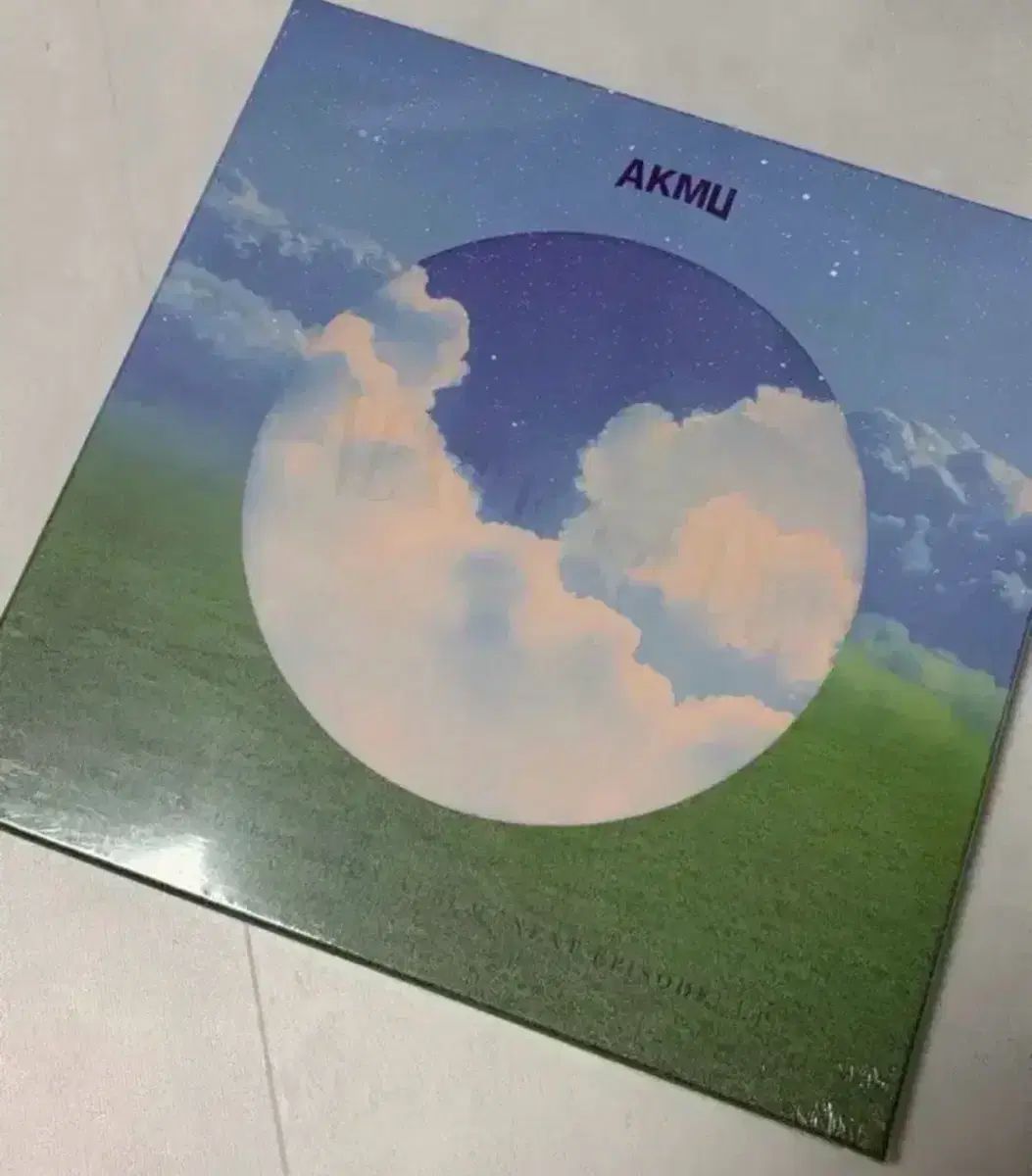 AKMU Next Episode LP 未開封 アルバム The First