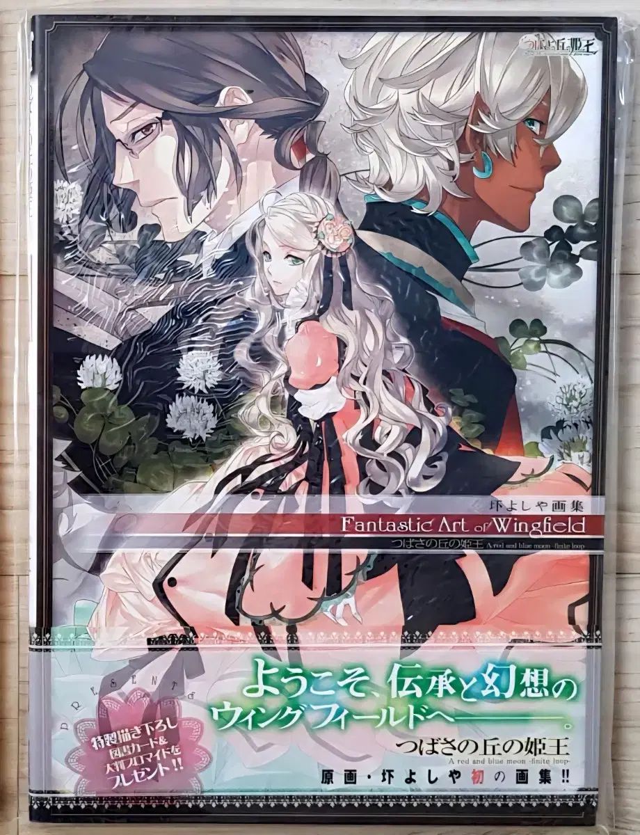 フリルダックの 王女 花麻下 ウールモノガタリ イラスト集