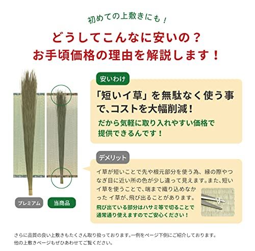 萩原 い草カーペット 上敷き 柳川 江戸間4.5畳 約261×261cm い草 ラグ お手頃上敷き 双目織 抗カビ 軽量 傷防止 日焼け防止ｍａ