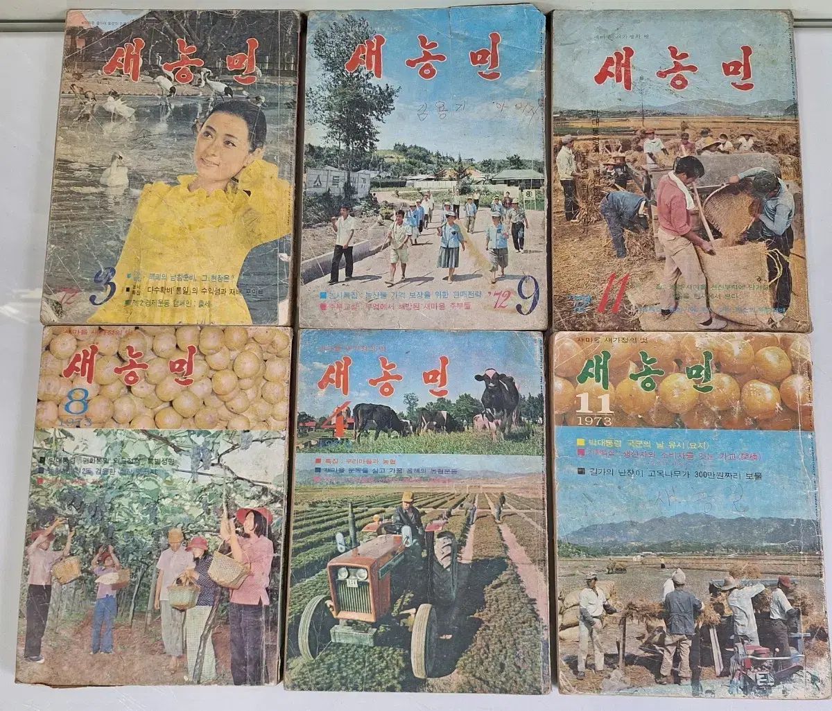 近代図書 月刊雑誌 図書刊行物 新農民 6巻