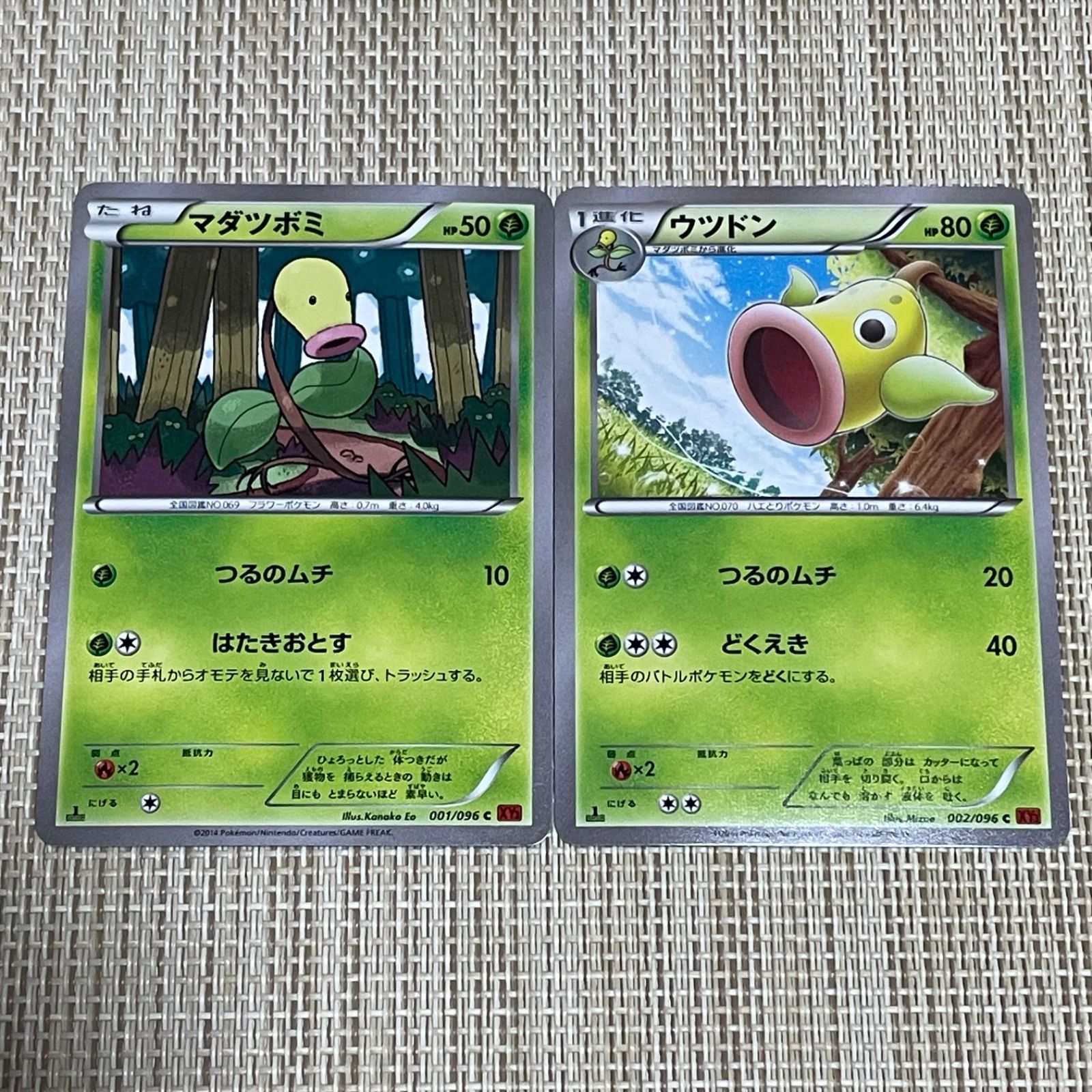 831】ポケモンカード マダツボミ ウツドン XY3 1ED 2枚 - メルカリ