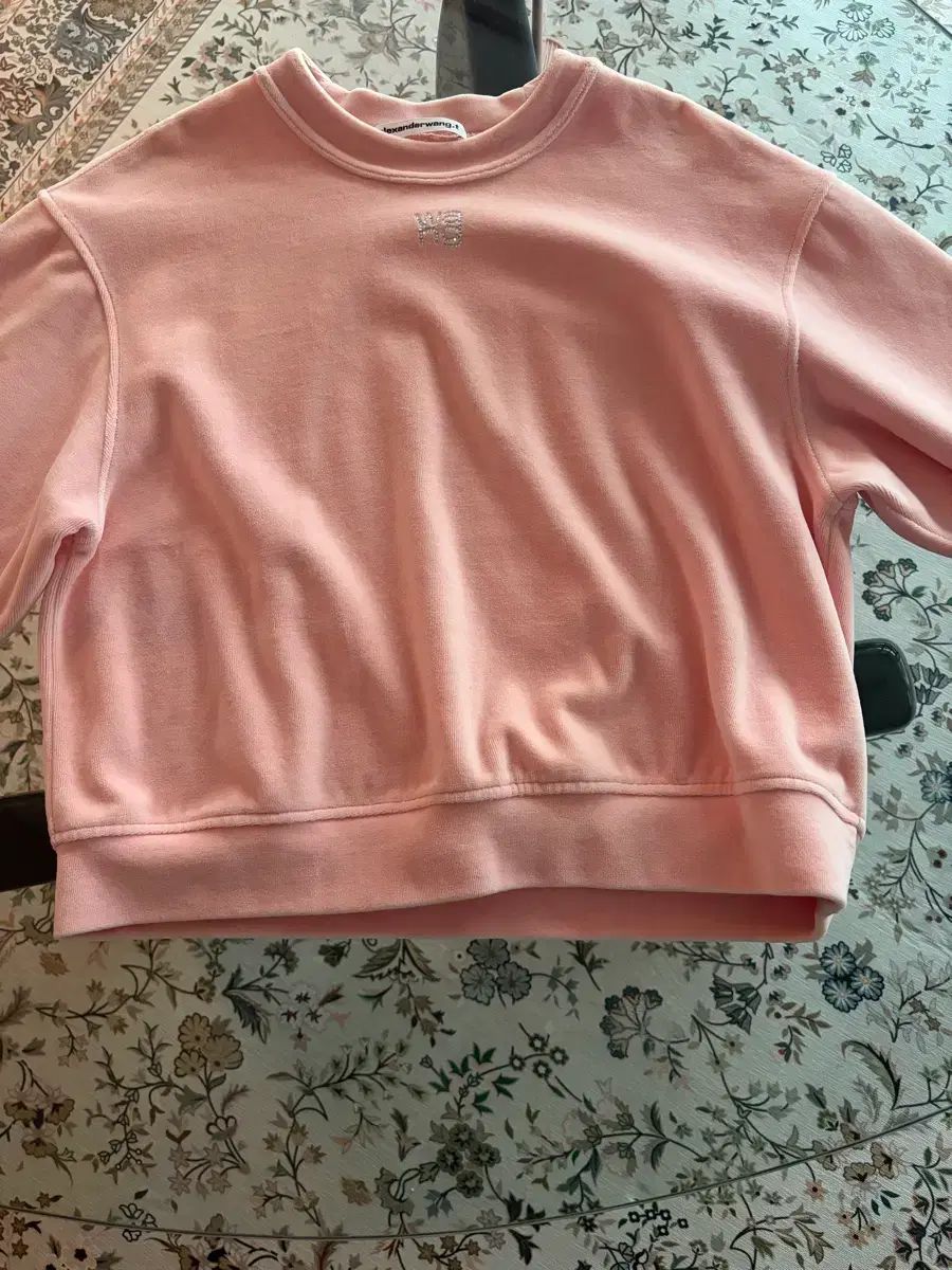 Alexander Wang スウェット