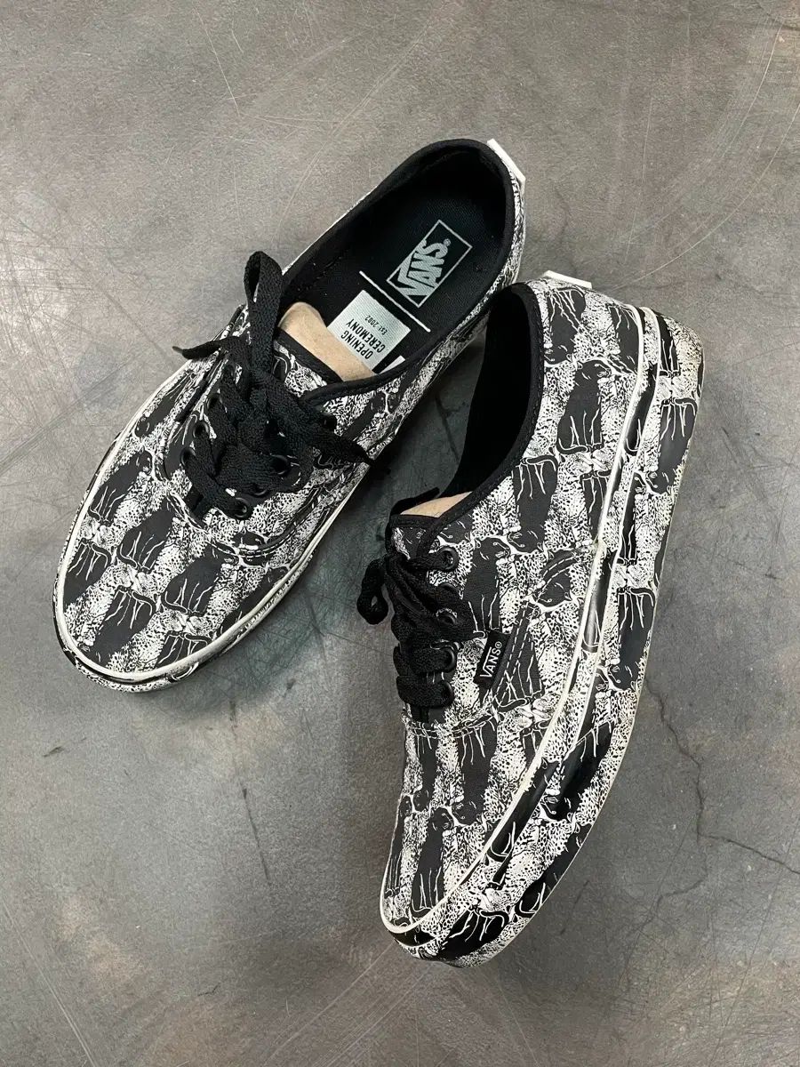 VANS X OPENING PROJECT(オープニングプロジェク) セレモニー アセンティック