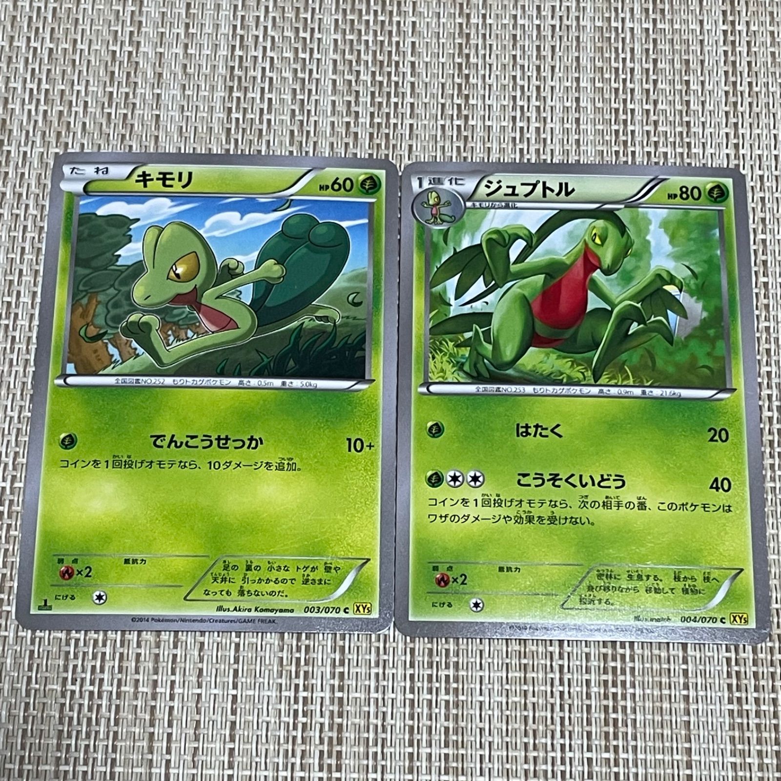837】ポケモンカード キモリ ジュプトル XY5 2014 2枚 - メルカリ