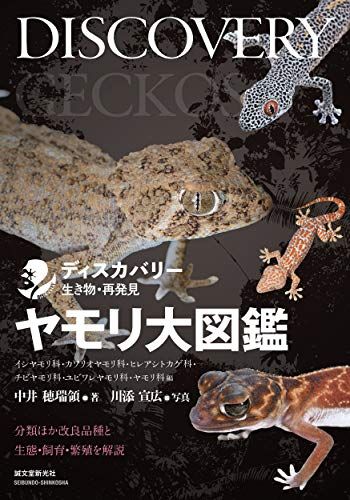 ヤモリ大図鑑: 分類ほか改良品種と生態・飼育・繁殖を解説 (ディスカバリー生き物・再発見)／中井 穂瑞領