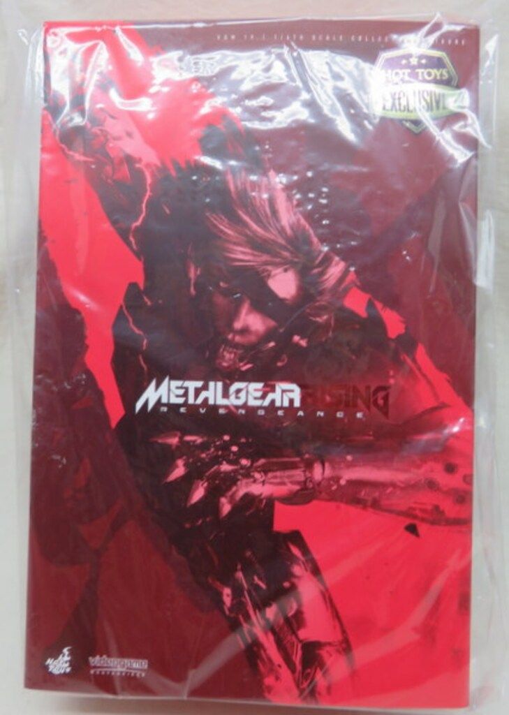 HOTTOYS VIDEOGAME MASTERPIECE 雷電 (INFERNO ARMOR) VGM19