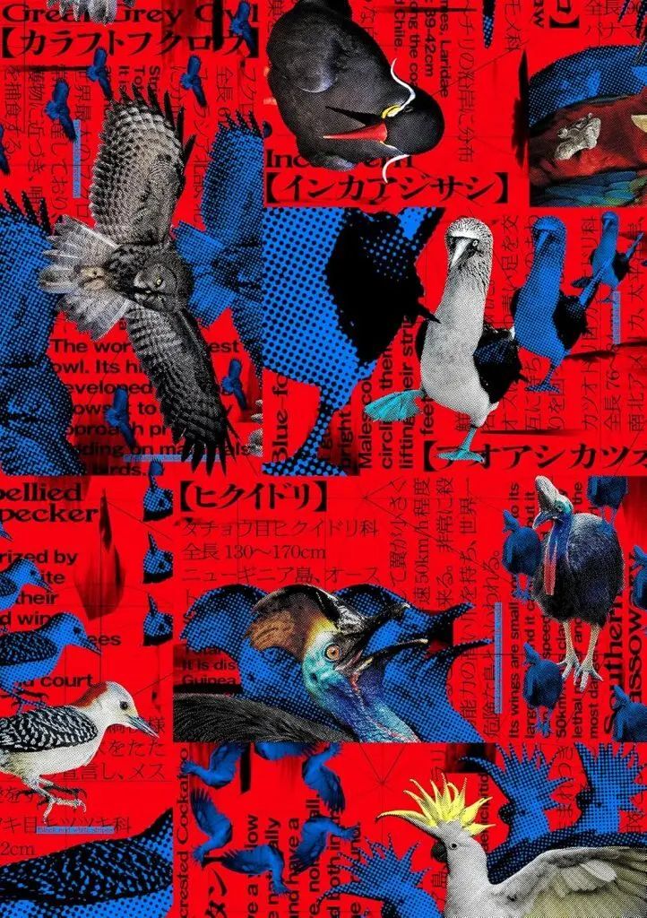 【中古】国内TVドラマBlu-ray Disc シナントロープ Blu-ray BOX