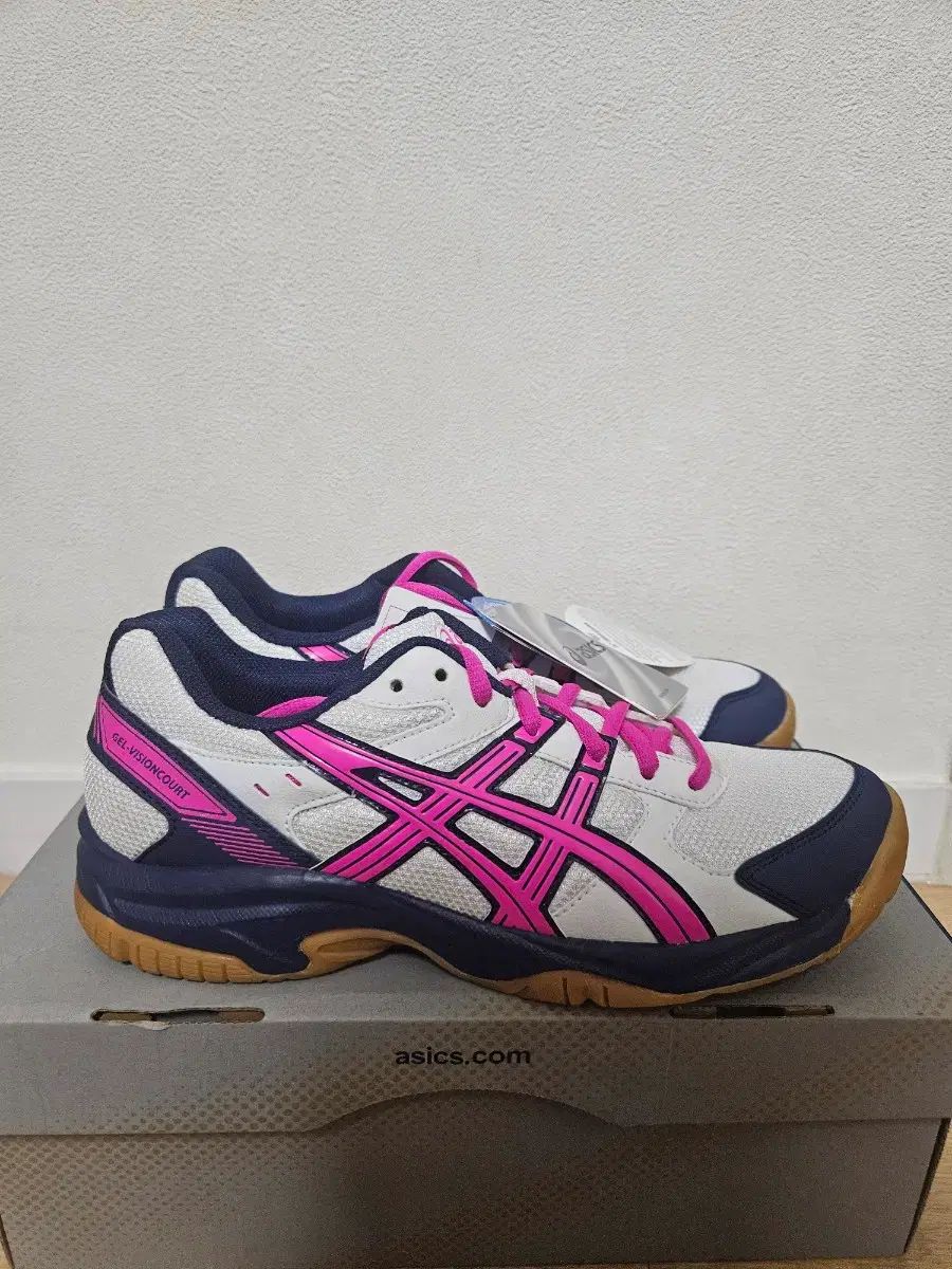 新品 250 アシックス インドアシューズ 卓球シューズ バドミントンシューズ スニーカー ランニングシューズ NIKE