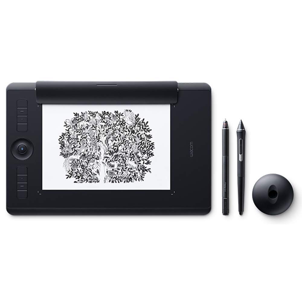 ワコム Wacom Intuos Pro Paper Edition Mサイズ A5対応 ペンタブレット ペーパーエディション ペン入力 Wacom Pro Pen 2 付属 PTH-660/K1