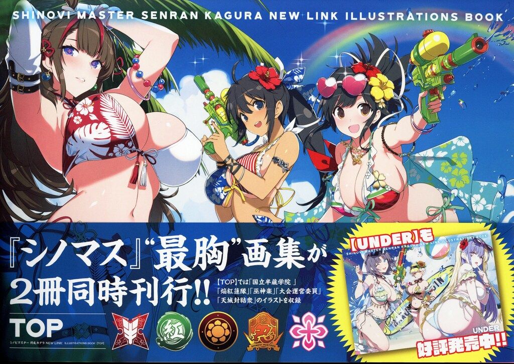 シノビマスター 閃乱カグラ NEW LINK ILLUSTRATIONS BOOK TOP (帯付