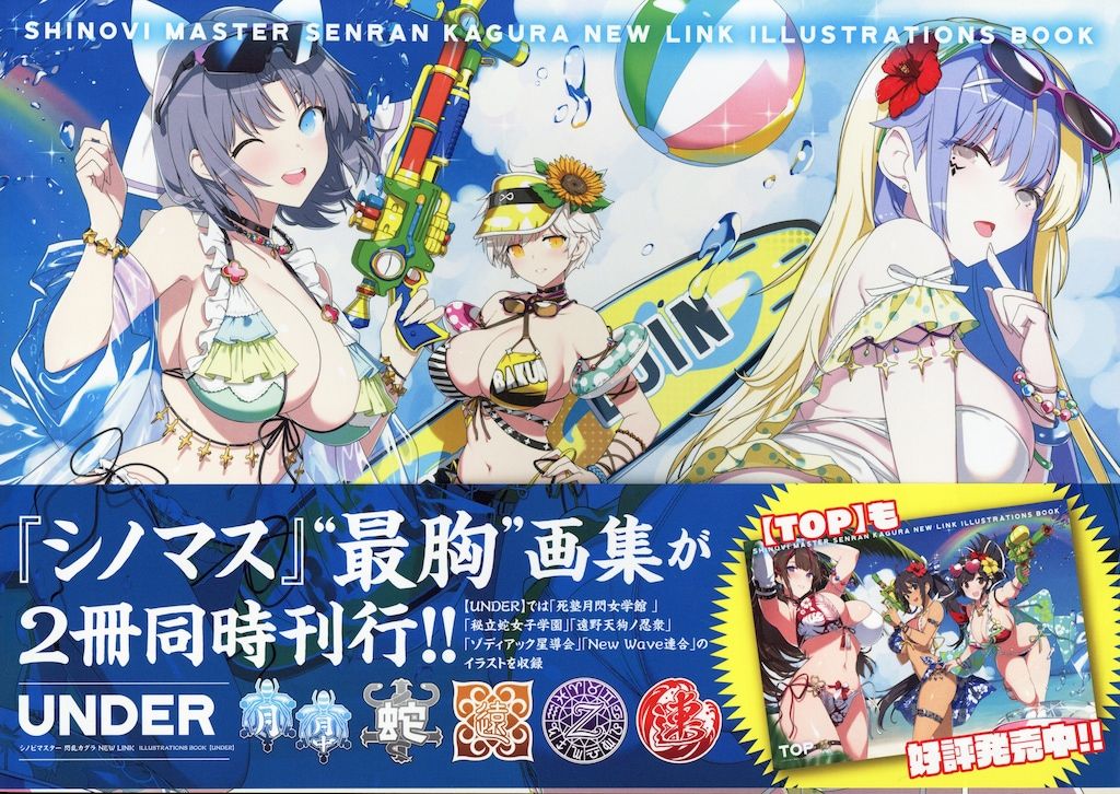 シノビマスター 閃乱カグラ NEW LINK ILLUSTRATIONS BOOK UNDER (帯付)