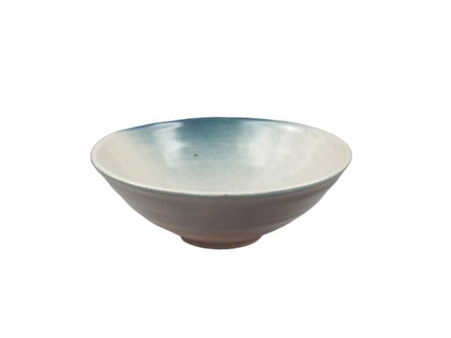 飯能焼（埼玉県） 飯能窯 酒器 ぐい呑 コントラスト彩色 2HAN0027 特製桐箱入+和紙包装