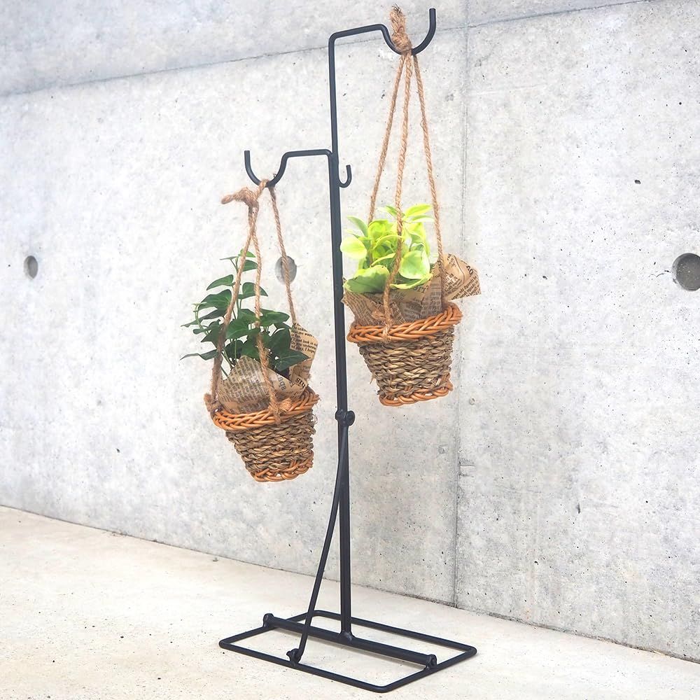 ＩＴＡＮＳＥ ハンガースタンド & バスケット鉢付きミニ観葉植物 見計いセット ハンガースタンド2個 & バスケット鉢付きミニ観葉植物 見計い4個セット【見計らい観葉植物】【※造花ではありません。生きている観葉植物です。商品の特性上、背丈・形・大きさ等、植物に