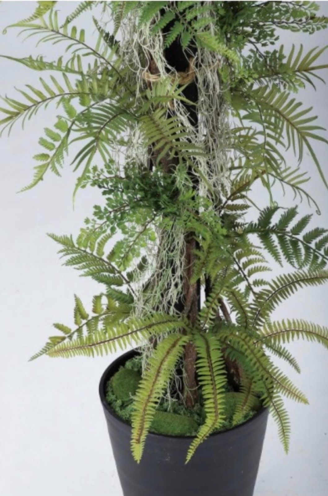 光触媒　人工観葉植物　ウォールグリーン　フェイクグリーン　ミックスファンヘゴ 光触媒 人工観葉植物 ウォールグリーン フェイクグリーン ミックス