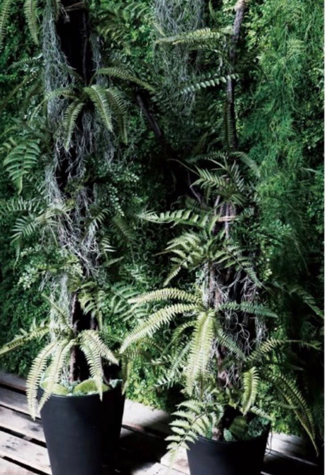 光触媒　人工観葉植物　ウォールグリーン　フェイクグリーン　ミックスファンヘゴ 光触媒 人工観葉植物 ウォールグリーン フェイクグリーン ミックス