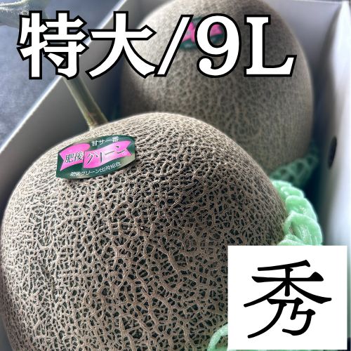 ぼたん様専用ページ　肥後グリーン メロン ２玉 贈答