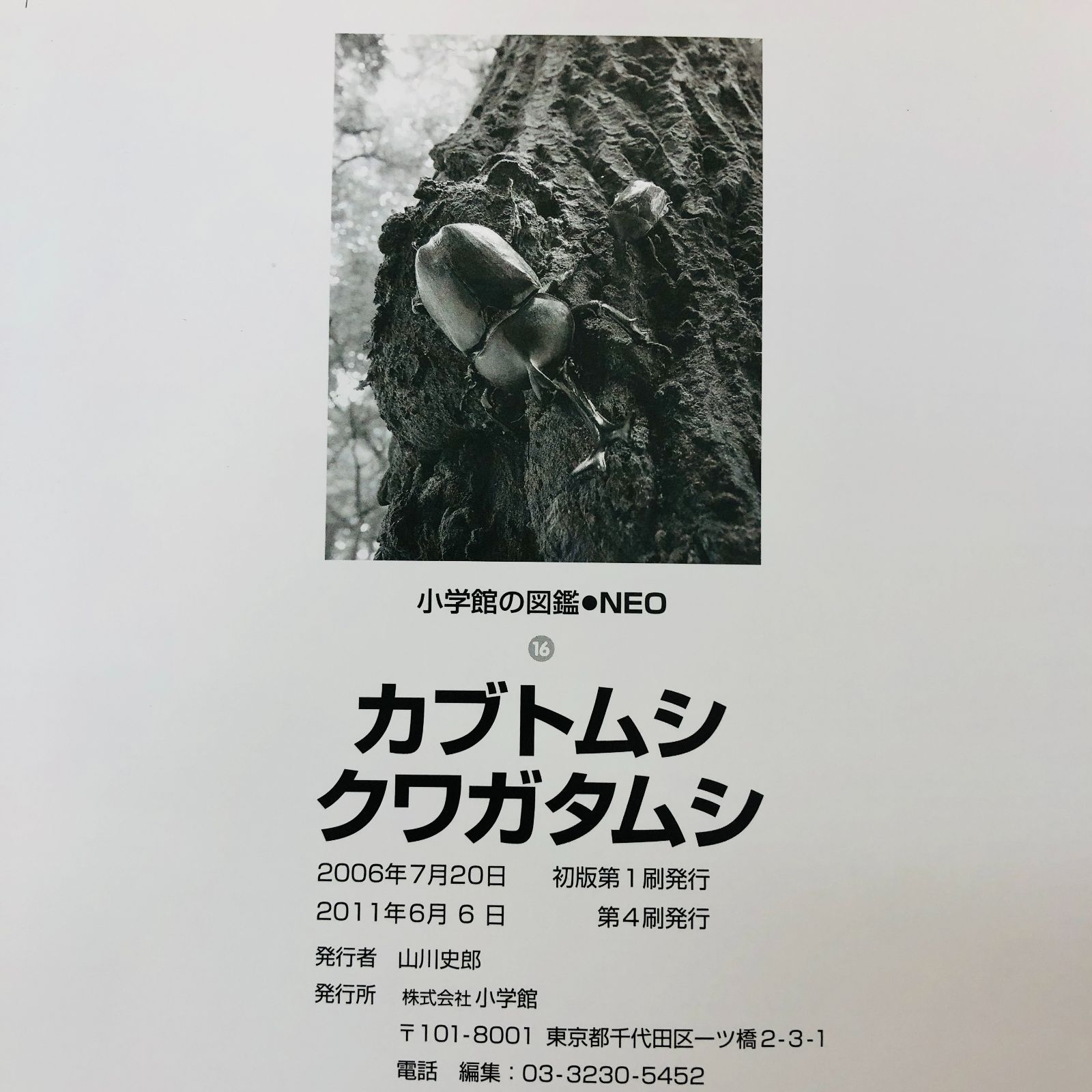 ◇[F]図鑑まとめ売り10冊 小学館の図鑑NEO DVD7枚付 新版入り - メルカリ
