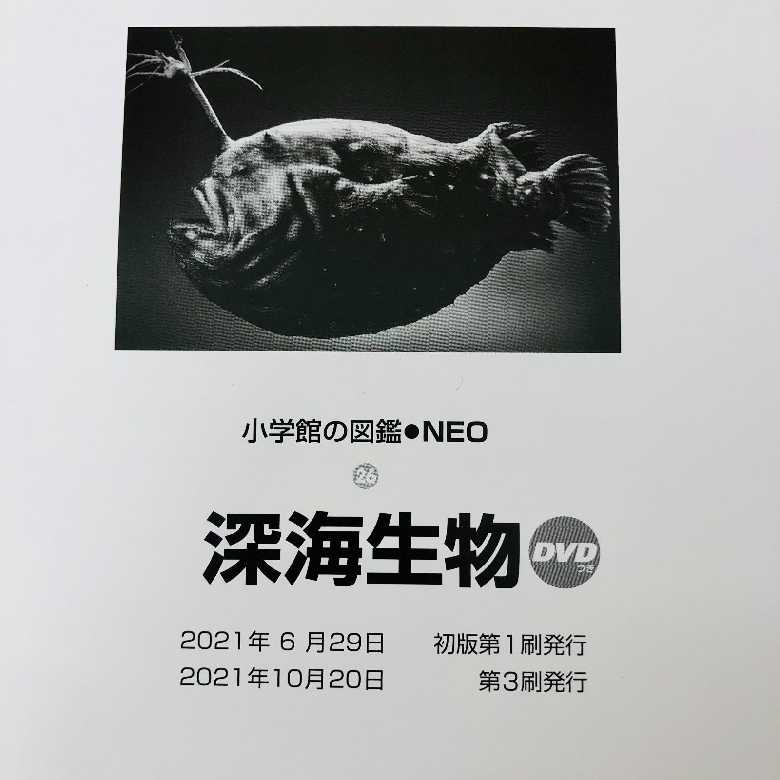 ◇[F]図鑑まとめ売り10冊 小学館の図鑑NEO DVD7枚付 新版入り - メルカリ