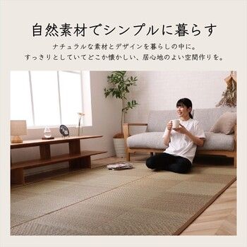 カーペット ござ 江戸間6畳（約261×352cm） 日本製 国産 敷詰 ラグ 敷物 い草 消臭 抗菌防臭 滑り止め 防炎 市松 DXノア