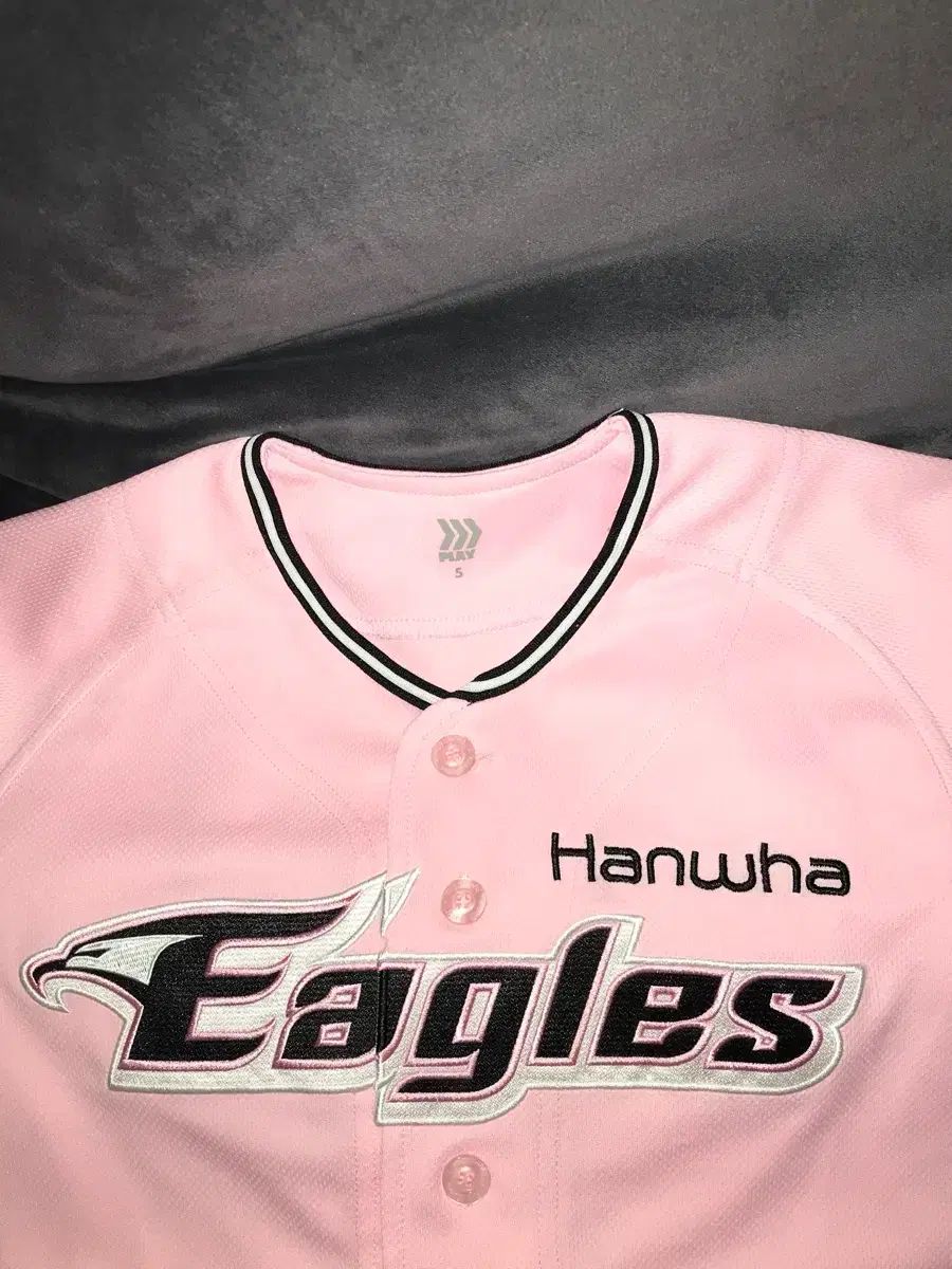 Hanwhae Eagles(ハンファ・イーグルス) Pingフォーム #5