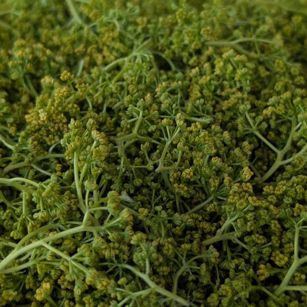 最終入荷！青森県産天然花山椒100g 無農薬 - メルカリ