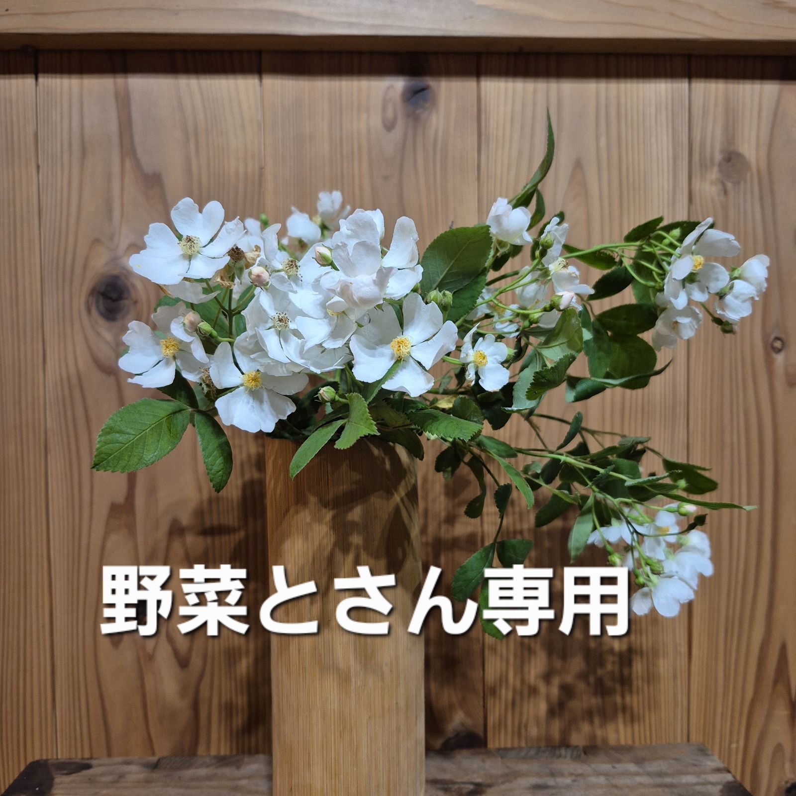野菜とさん専用　野バラの花
