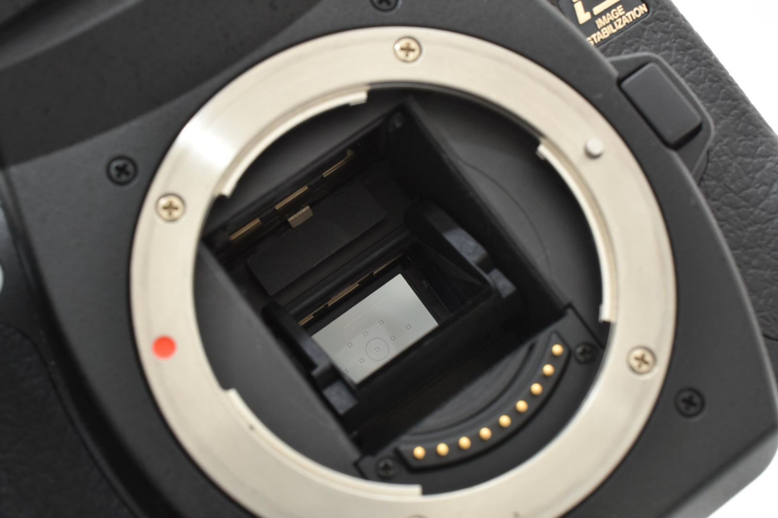 C30[7529A]40極美品 OLYMPUS E-5 ボディ ショット数 6 C30[7529A]40☆極美品☆ オリンパス OLYMPUS E-5 ボディ 【ショット数
