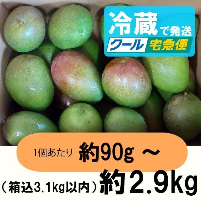 クール便】グリーンマンゴー 摘果マンゴー 約2.9kg - メルカリ