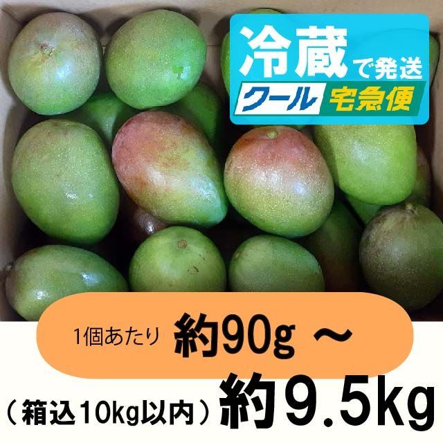 【クール便（冷蔵）】［橙］約9.5kg（箱込10kg以内 ）　グリーンマンゴー 青マンゴー　マンゴー
