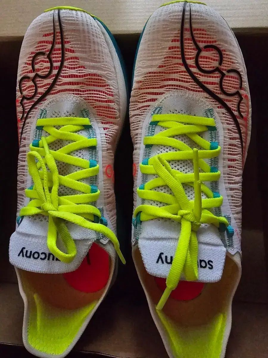 Saucony Endorphin Elite 2 270mm 出品
