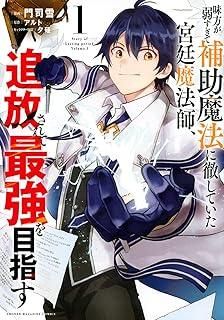 ●【中古】 味方が弱すぎて補助魔法に徹していた宮廷魔法師,追放されて最強を目指す 1-17巻 セット 門司雪 [レンタル落ち] [コミック] [漫画]