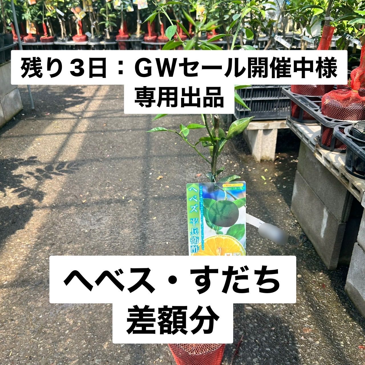tasshies7さま専用出品 専用出品 - メルカリ