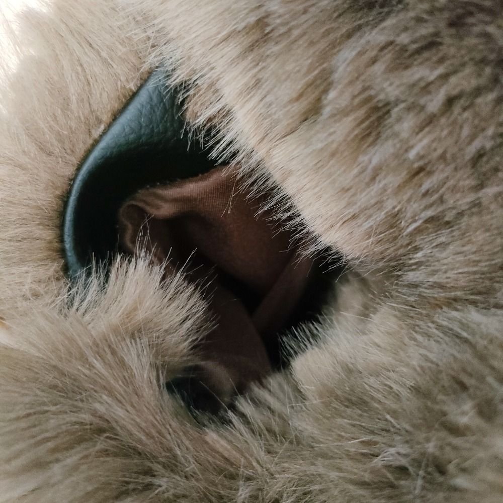 未使用 A POINT ETC アーポワンウテセ ドゥーズィエムクラス FAKE FUR