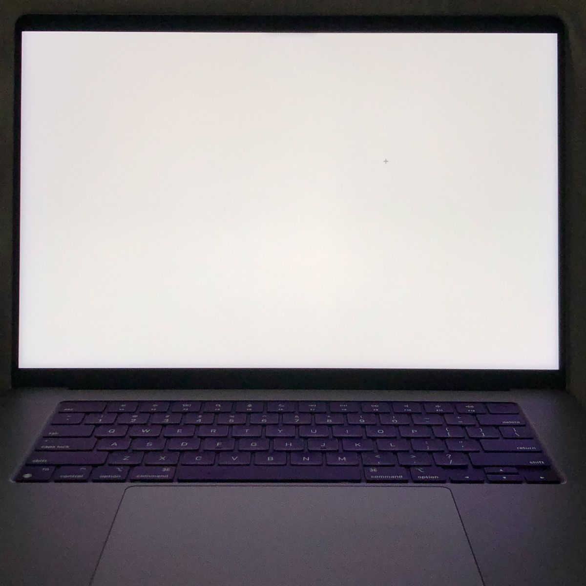 ジャンク MacBook Pro 16