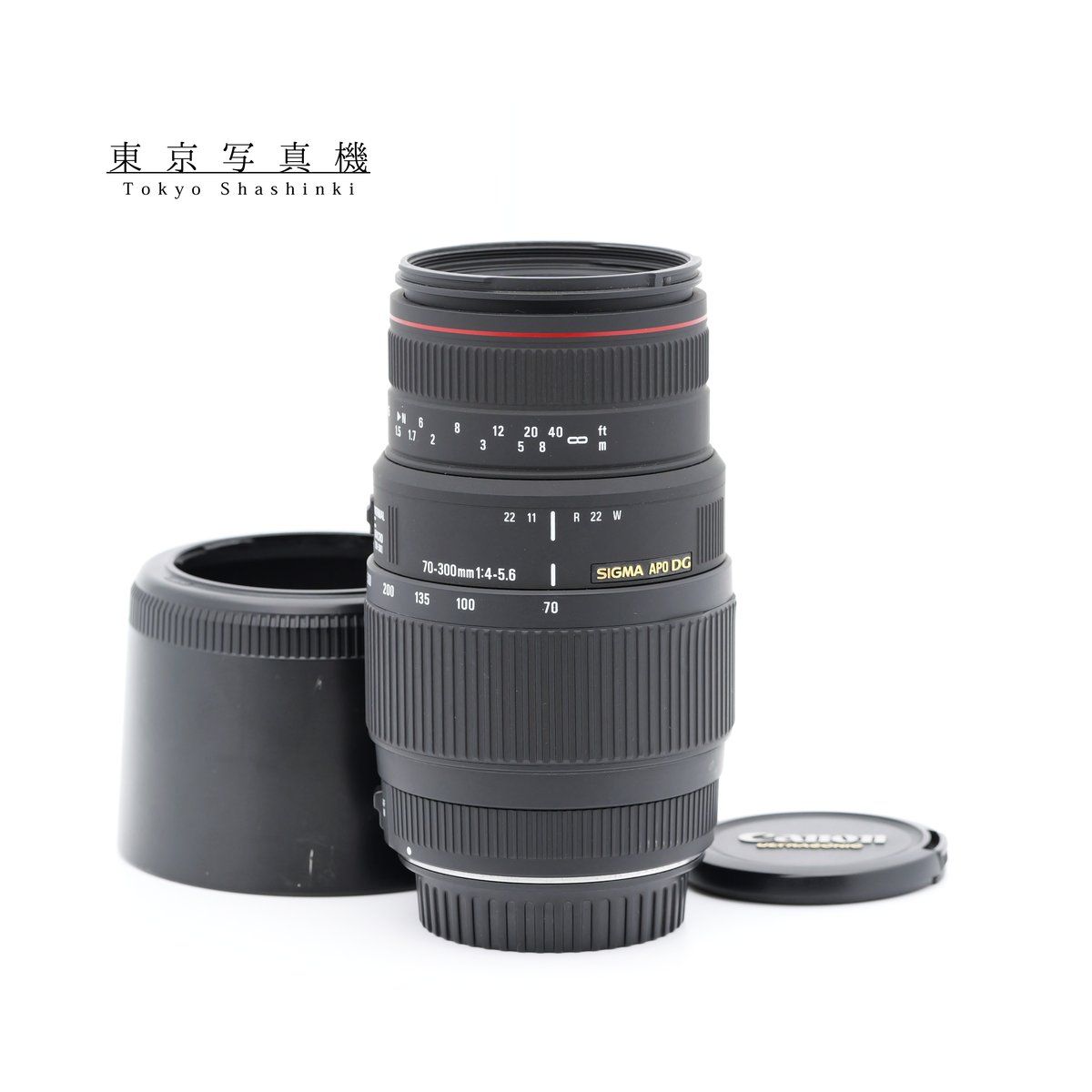 SIGMA APO 70-300mm 4-5.6 DG MACRO レンズ キヤノン EFマウント