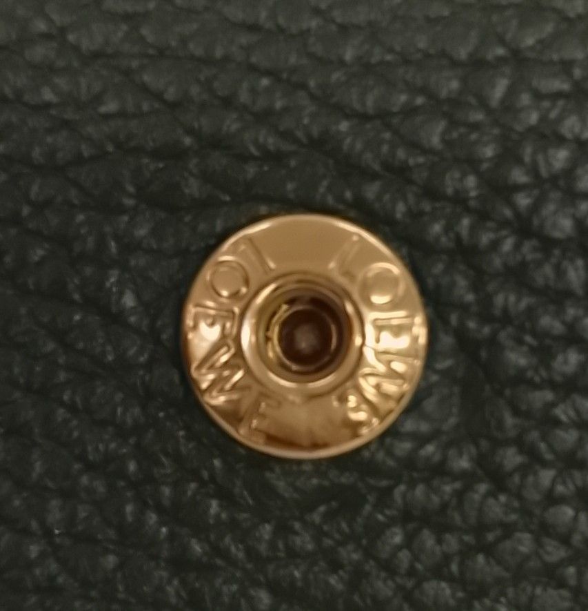 AQX21 ロエベ 美品 アナグラム バーティカルウォレット 3つ折り財布 ゴールド金具 箱&保存袋付き AQX21 ロエベ 美品 アナグラム バーティカルウォレット 3つ折り財布 ゴールド金具 箱&保存袋付き