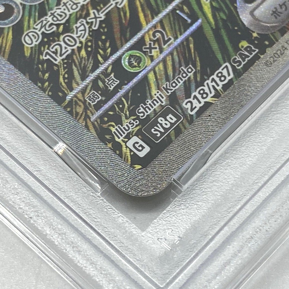 ☆PSA10 ポケモンカード トドロクツキex SAR 218/187 テラスタルフェス