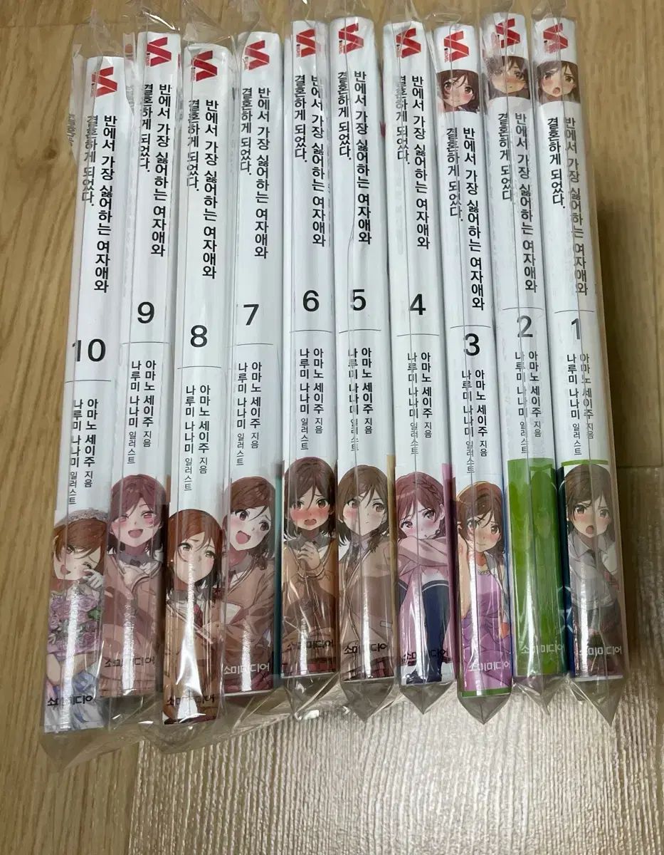 オール初版、レディースが一番嫌いな女の子と結婚することになった、全巻出品ラノベ