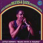 【CD】Ann Arbor Blues & Jazz Fest