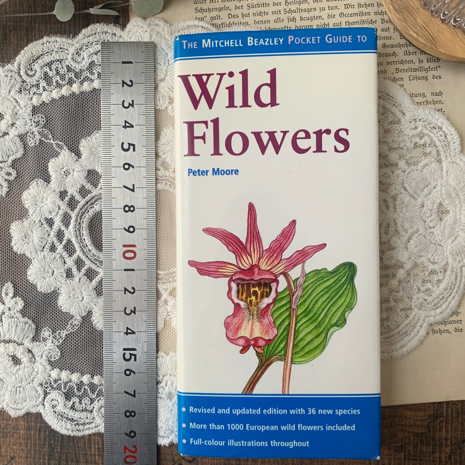 ヴィンテージ 洋書 『Wild Flowers』植物図鑑 ボタニカルイラスト