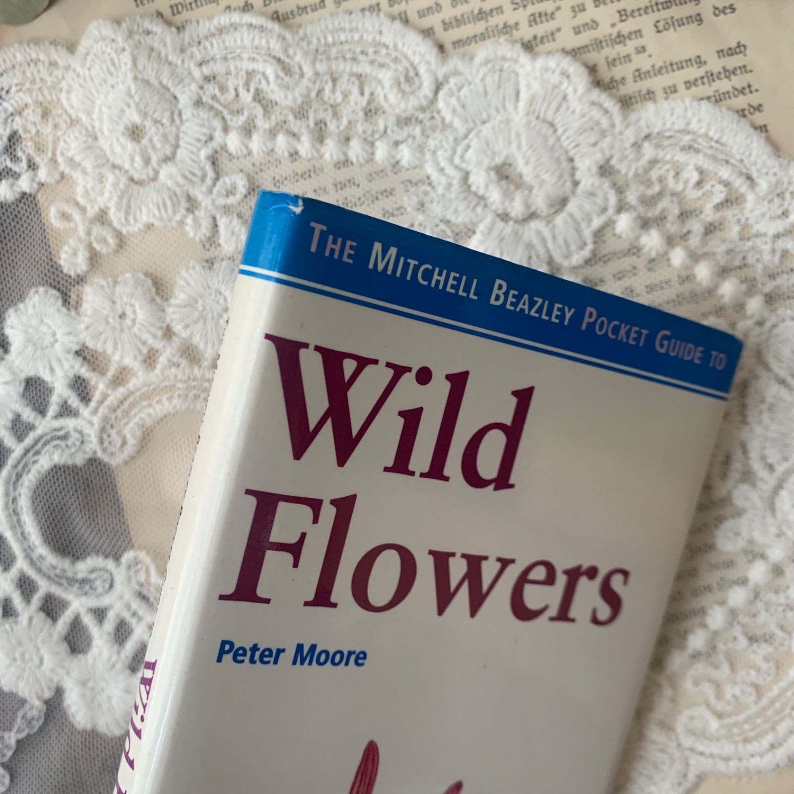 ヴィンテージ 洋書 『Wild Flowers』植物図鑑 ボタニカルイラスト