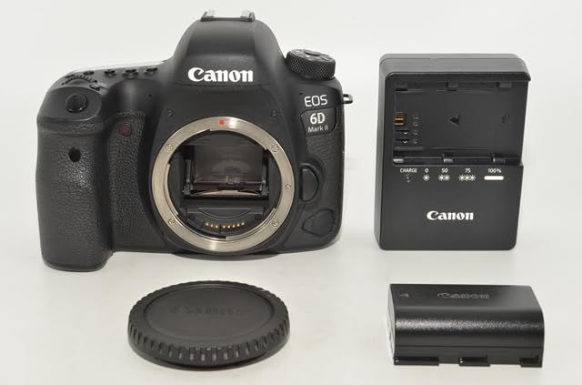1012★美品・ショット数22757回★Canon EOS 6D Mark II ボディ