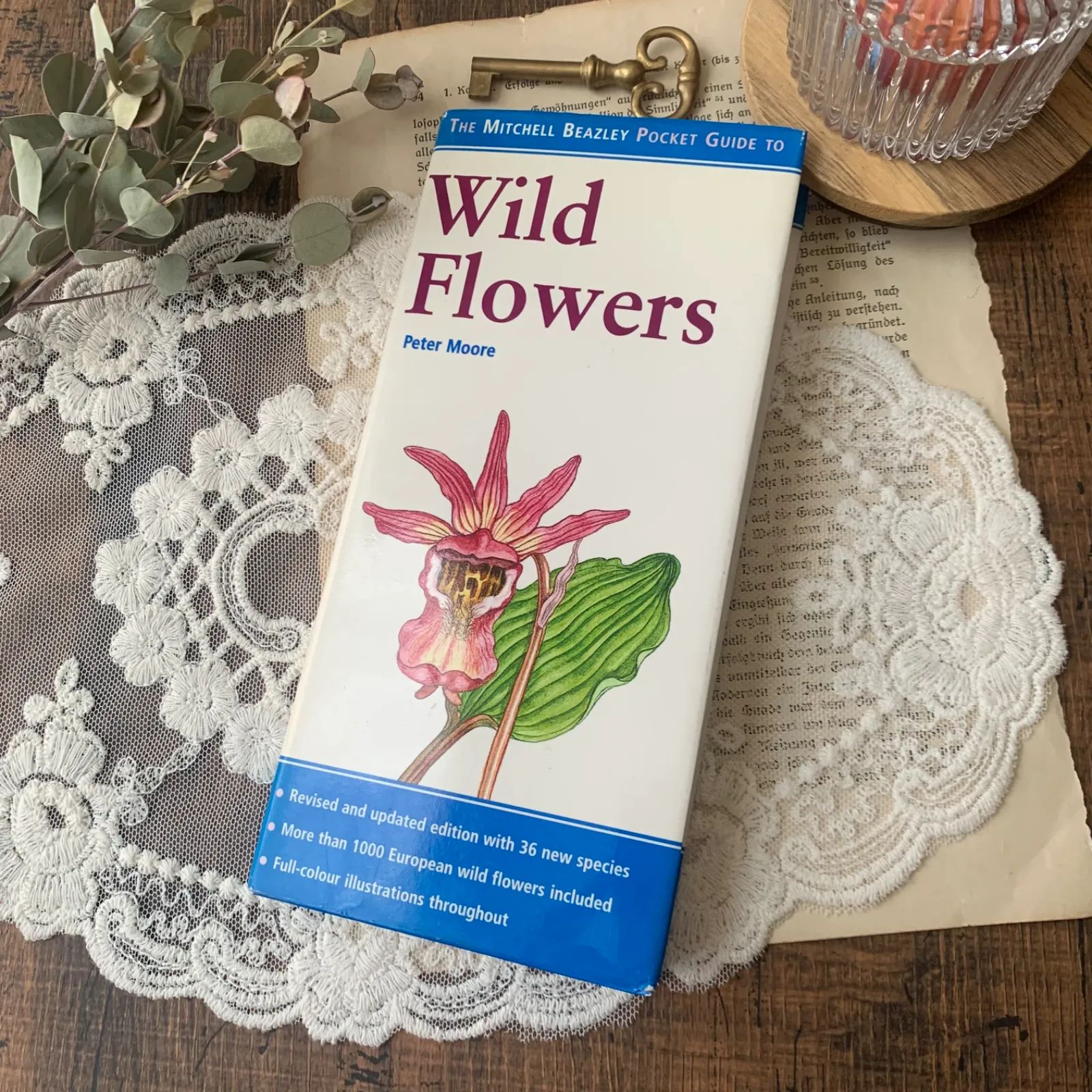 ヴィンテージ 洋書 『Wild Flowers』植物図鑑 ボタニカルイラスト