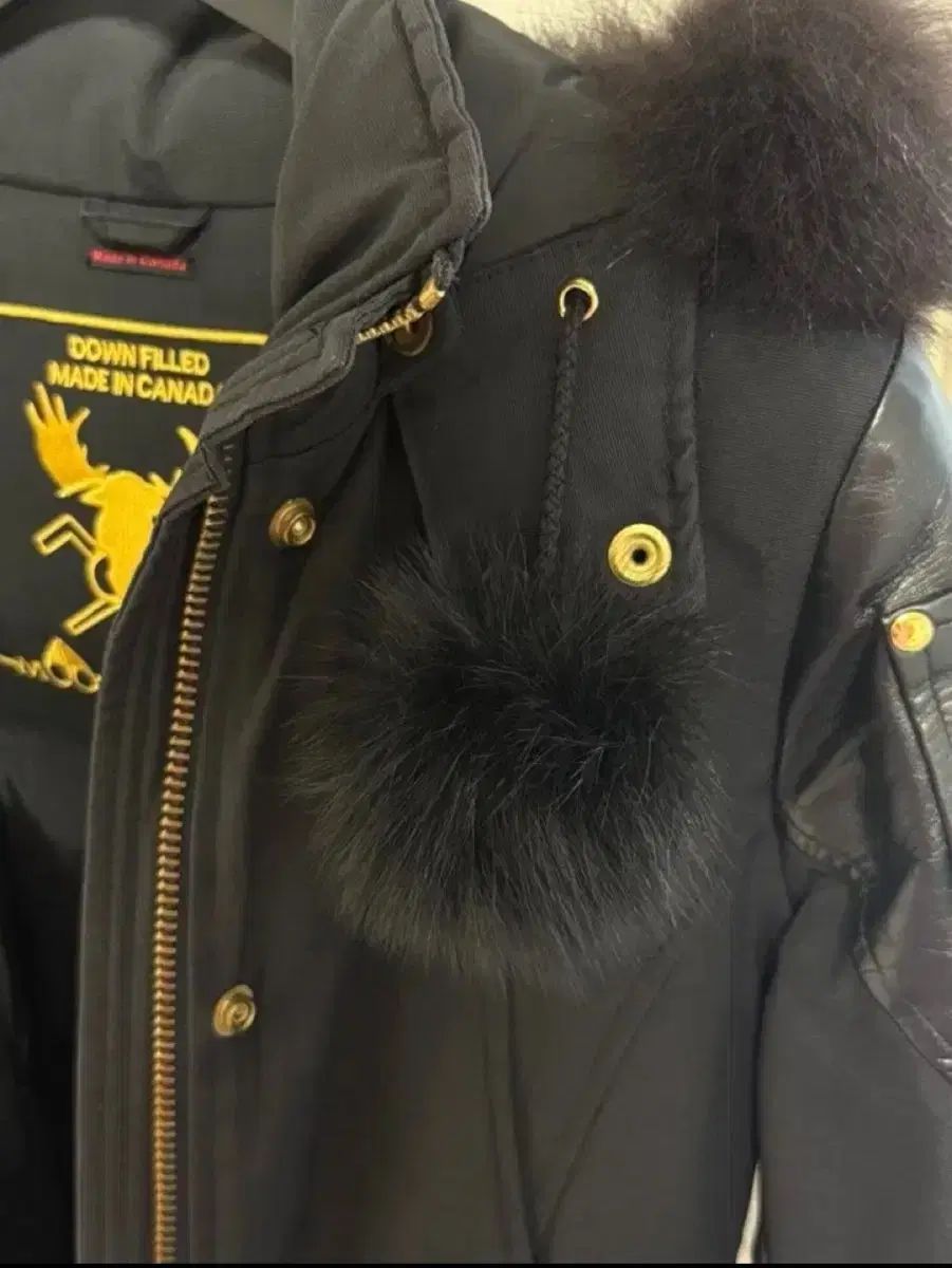 MOOSE KNUCKLES ムースナックルズ ゴールド ダウン 限定モデル MOOSE KNUCKLES ムースナックルズ ゴールド ダウン 限定モデル