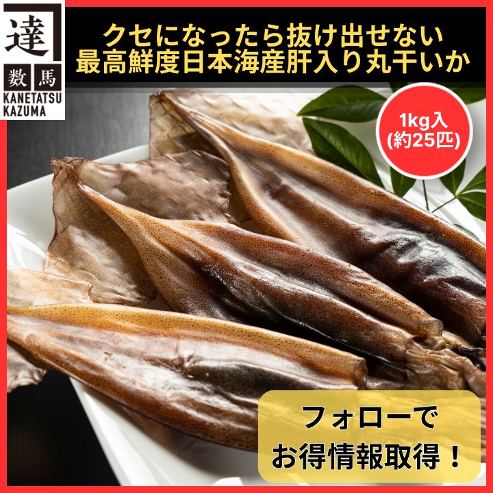 クセになったら抜け出せない最高鮮度肝入り丸干いか　1kg入(約25匹)　日本海産　無添加　おつまみ　晩酌　スルメイカ　イカ　干物　スルメ　珍味　ゴロ入り　酒のあて
