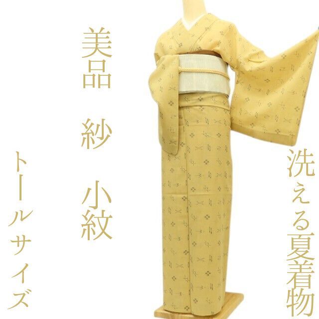 ✾まめ藤✾m3067＊美品 洗える夏着物 紗❀素朴さが新鮮！❀トール 