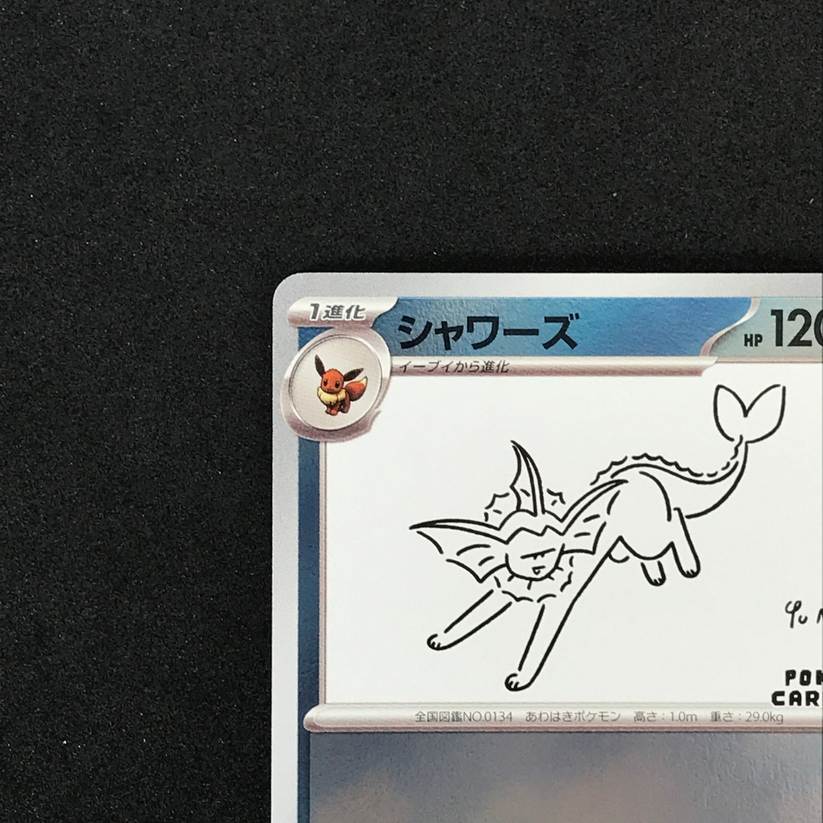 ☆ポケモンカードゲーム YU NAGABA×ポケモンカードゲーム 063/SV/P 